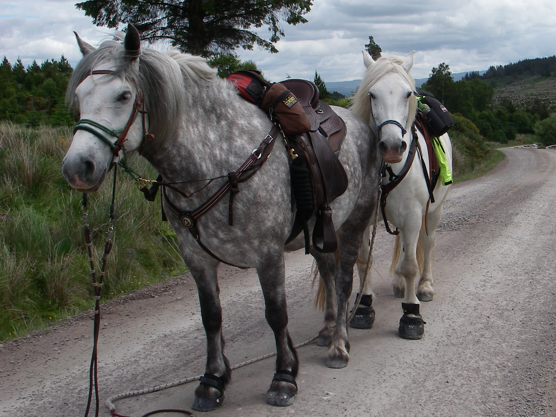 The compact Highland Duo