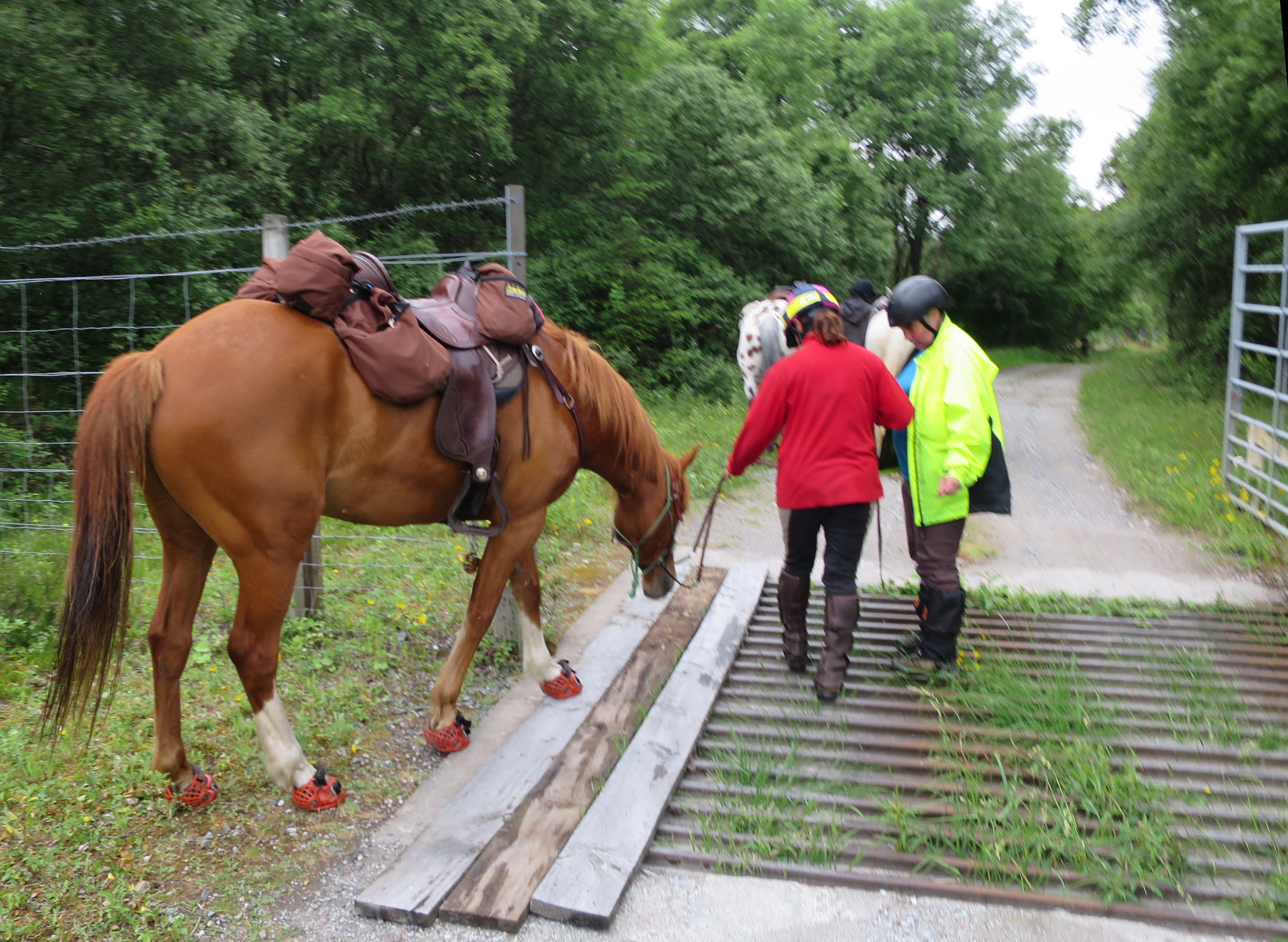 The plank walking technique