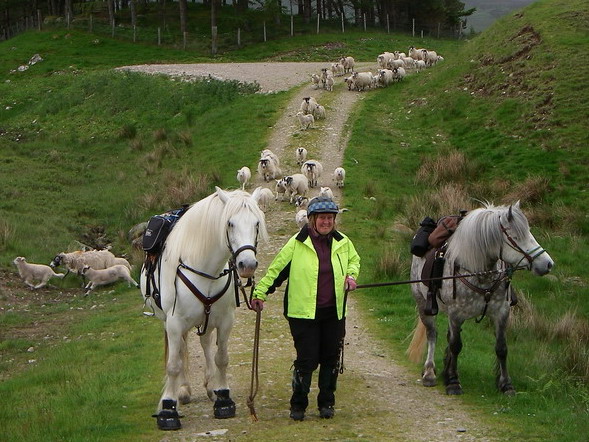 The singing shepherdess