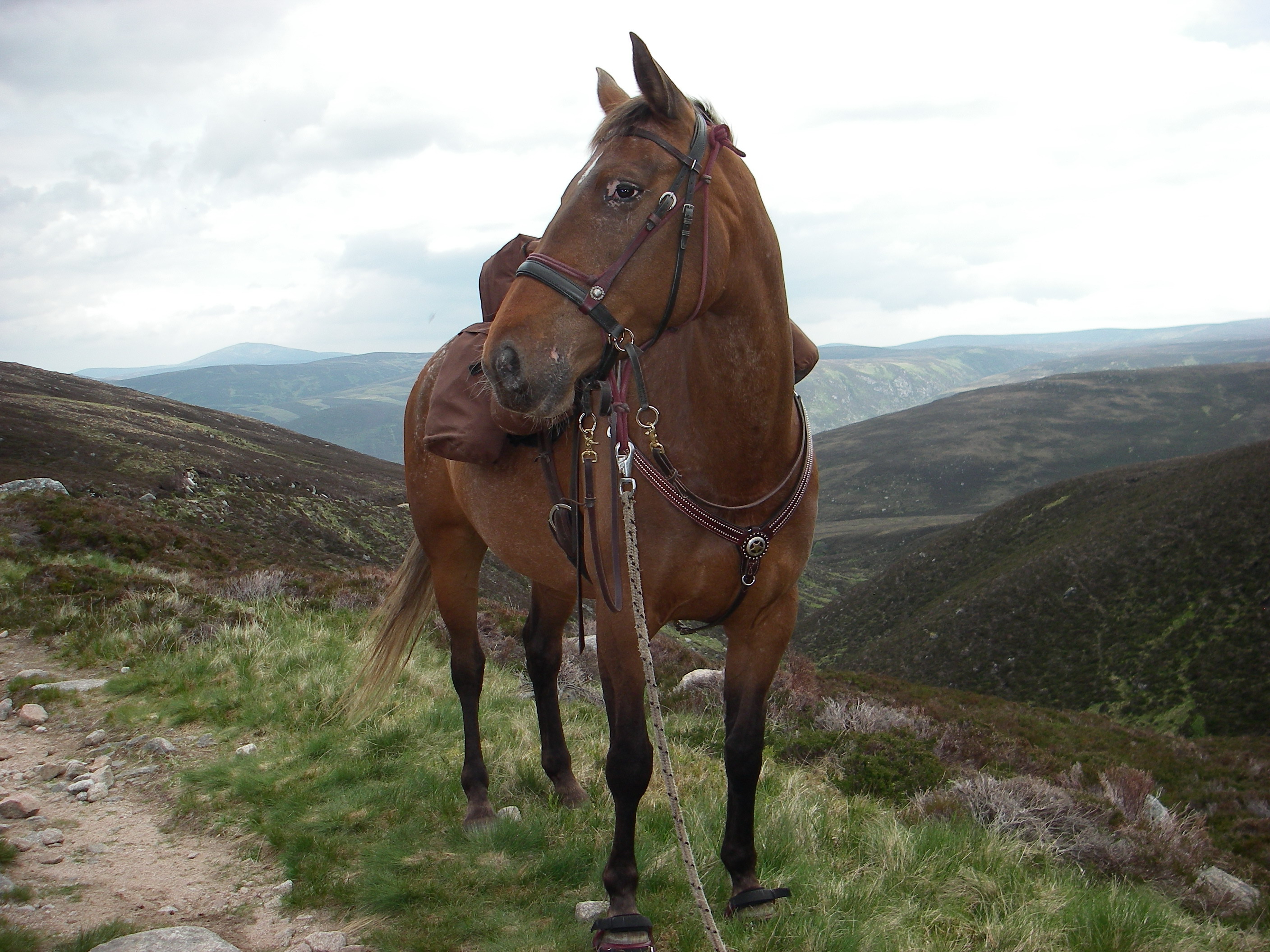 The teenager without her hoody